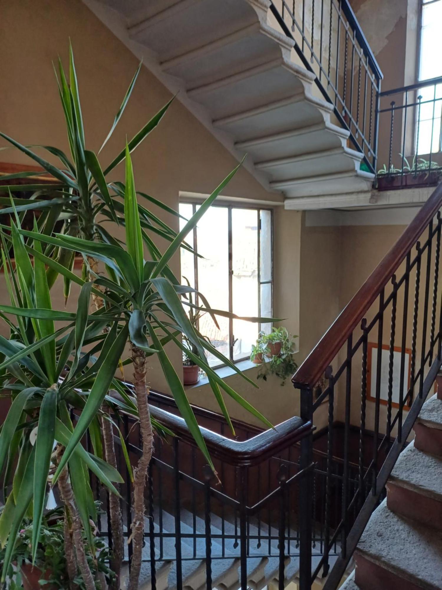 Casa Clara Apartment Cremona Exterior photo